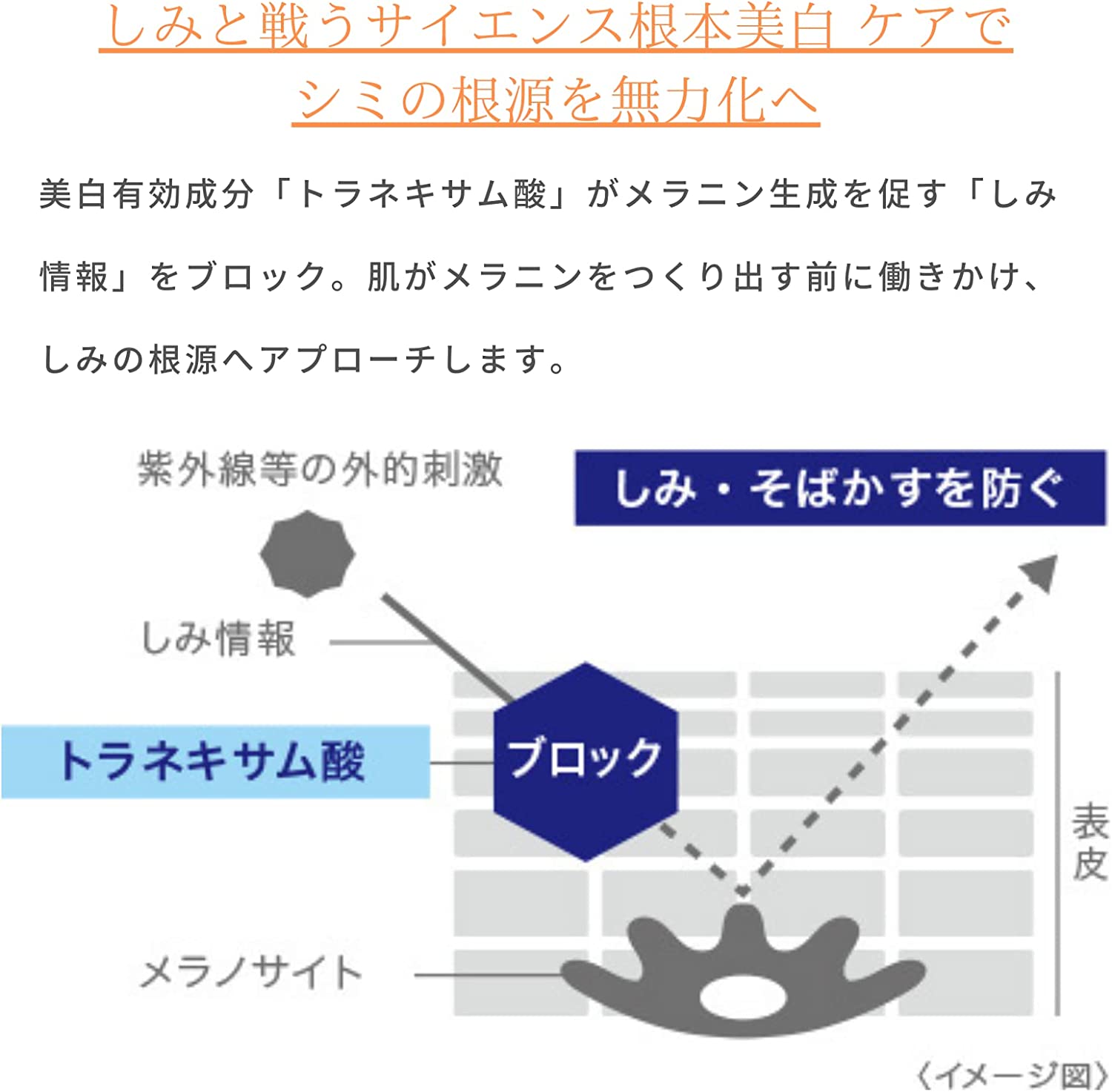 Daiichi Sankyo Healthcare Transino Medicated UV Concealer 2.5g