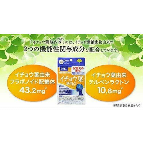 DHC Ginkgo Biloba Brain Alpha Supplement / Maintain Memory [20 days]