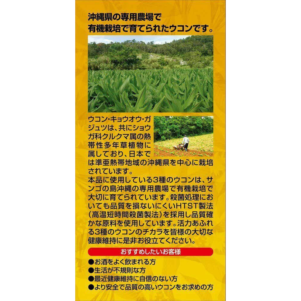 ORIHIRO Okinawa 3 kinds of Turmeric Grain Supplement 30 Days Japan - CosmeBear  | Popular Japanese Online Store