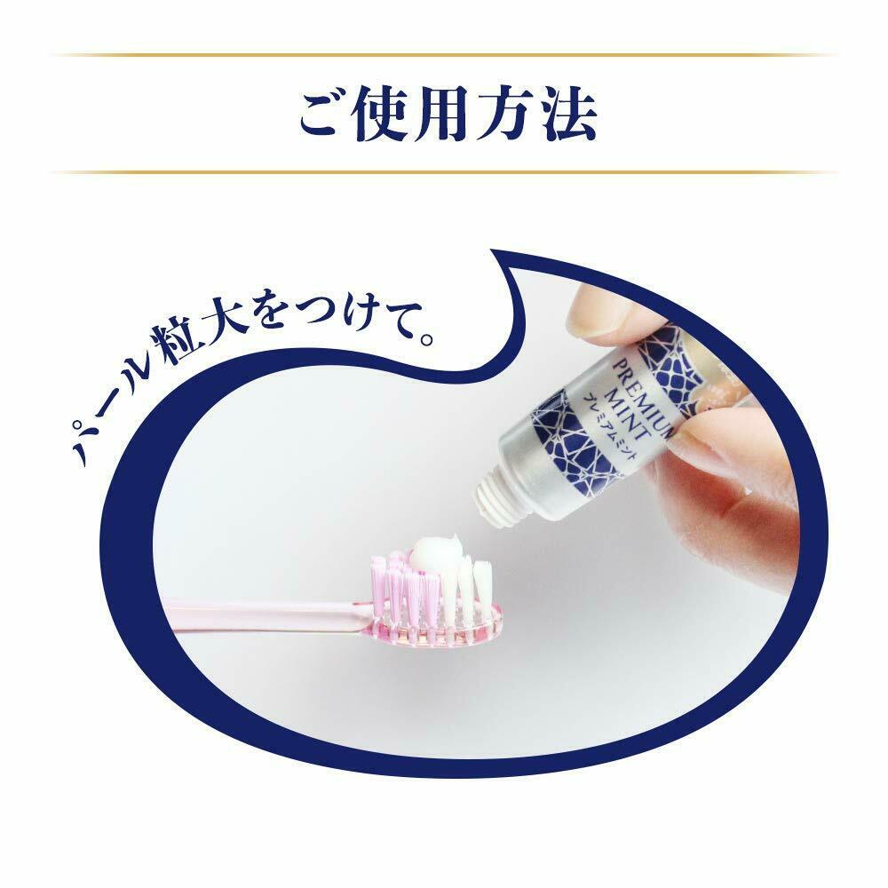 SUNSTAR Ora² Premium Cleansing tooth Paste Premium mint type 17g