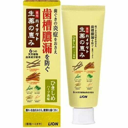 Lion Medicinal Toothpaste For Tightening Gum With Herbal Flavor 90g