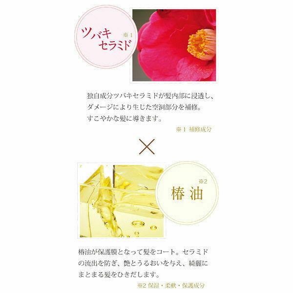 Oshima Tsubaki Hair cream moist 160g oil ceramide - CosmeBear  | Popular Japanese Online Store