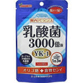 Yamamoto Kanpo Lactic Acid Bacterium, Oligosaccharide & Fiber 90-Tablets Japan