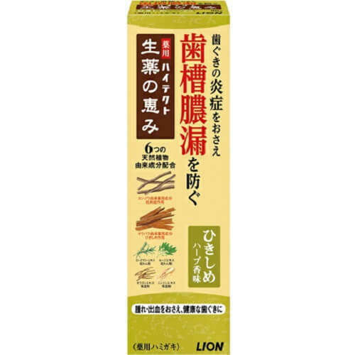 Lion Medicinal Toothpaste For Tightening Gum With Herbal Flavor 90g