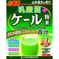  Yamamoto Kanpo Lactic acid bacteria kale powder 4g x 30 packets