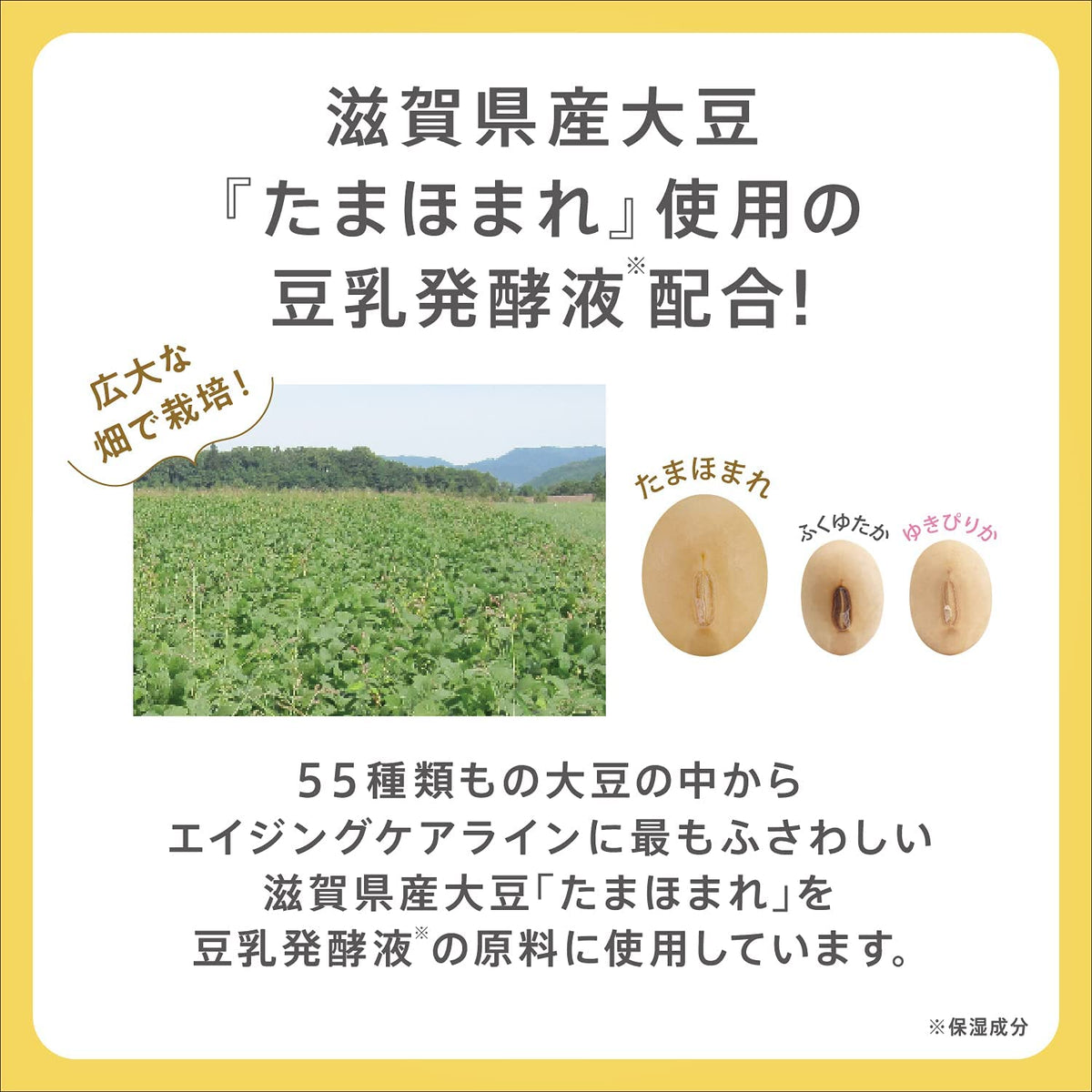 SANA Nameraka Honpo Wrinkle UV Emulsion 50G