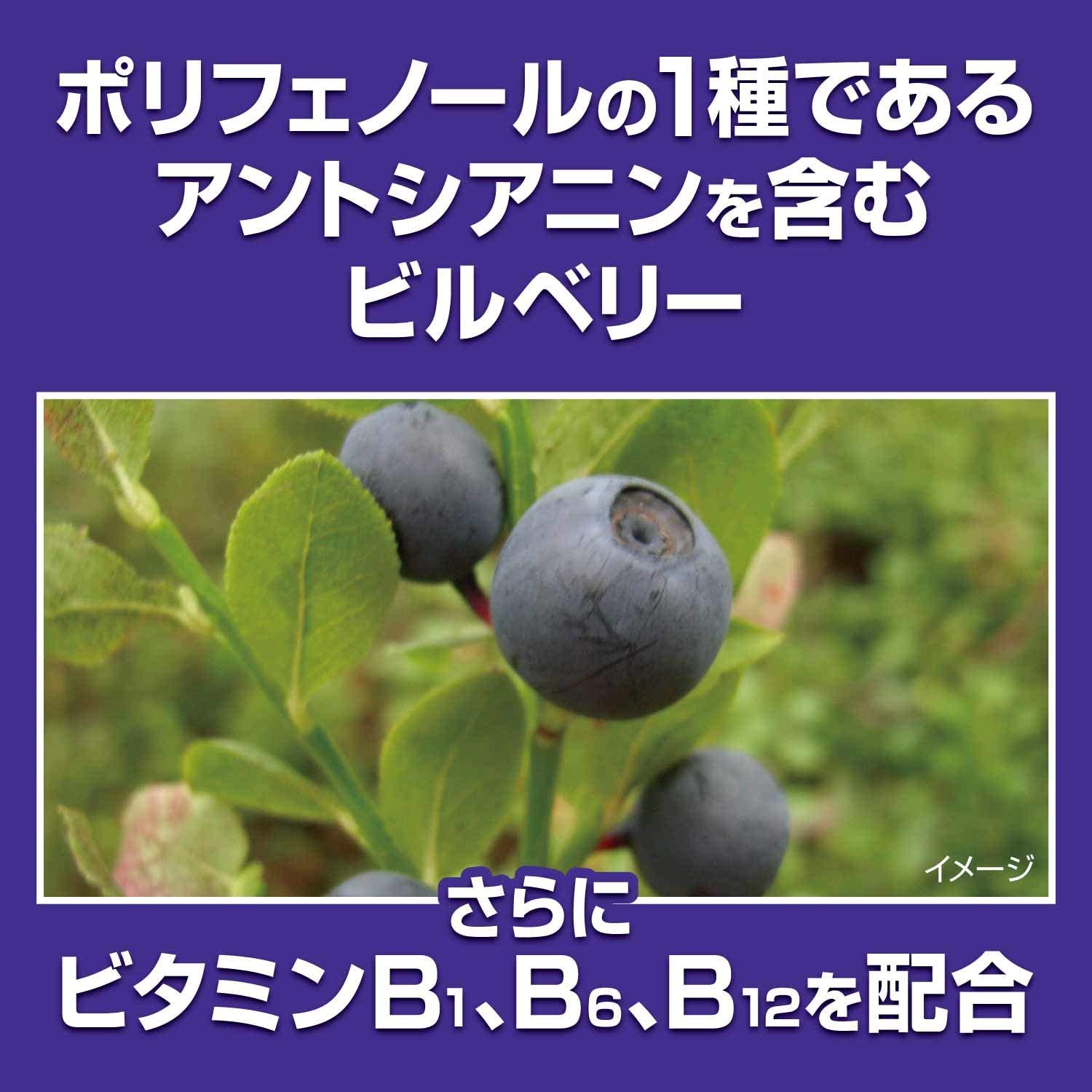 KOBAYASHI Pharmaceutical Blueberry EX 60 tablets