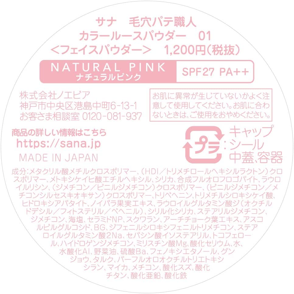 SANA Pore Putty Craftsman Color Loose Powder