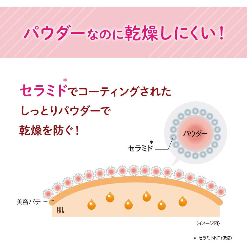 SANA Pore Putty Craftsman Color Loose Powder