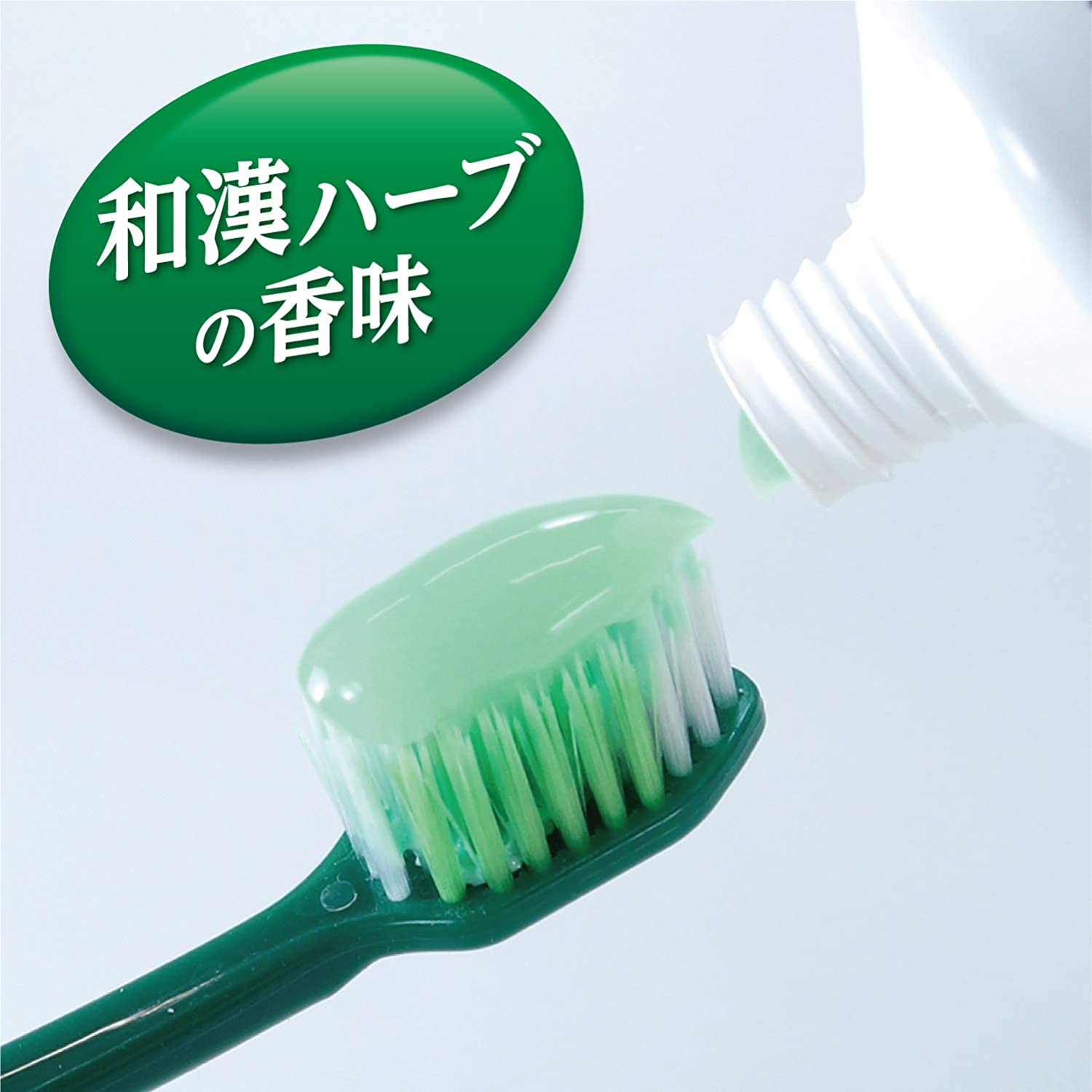 Kobayashi Shoyo Medicated toothpaste herb mint 95g