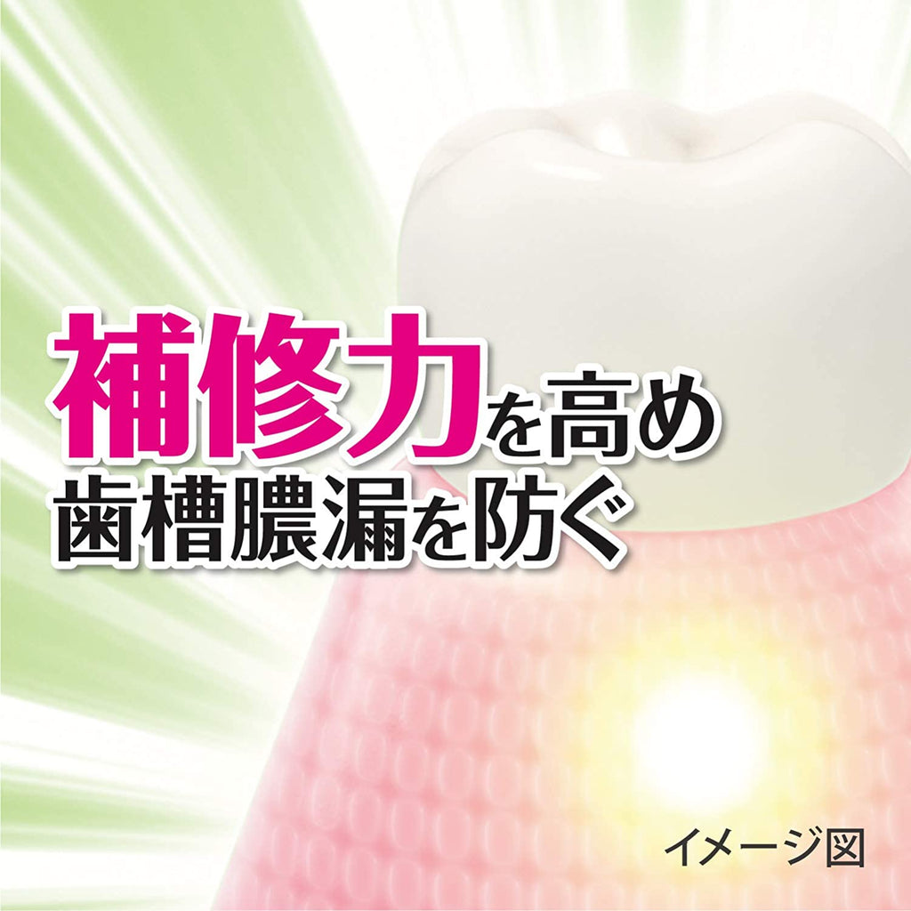 Kobayashi Shoyo Medicated toothpaste herb mint 95g