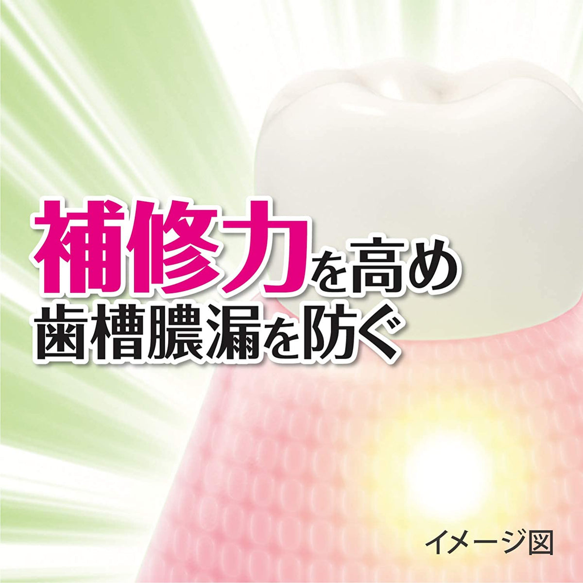 Kobayashi Shoyo Medicated toothpaste herb mint 95g
