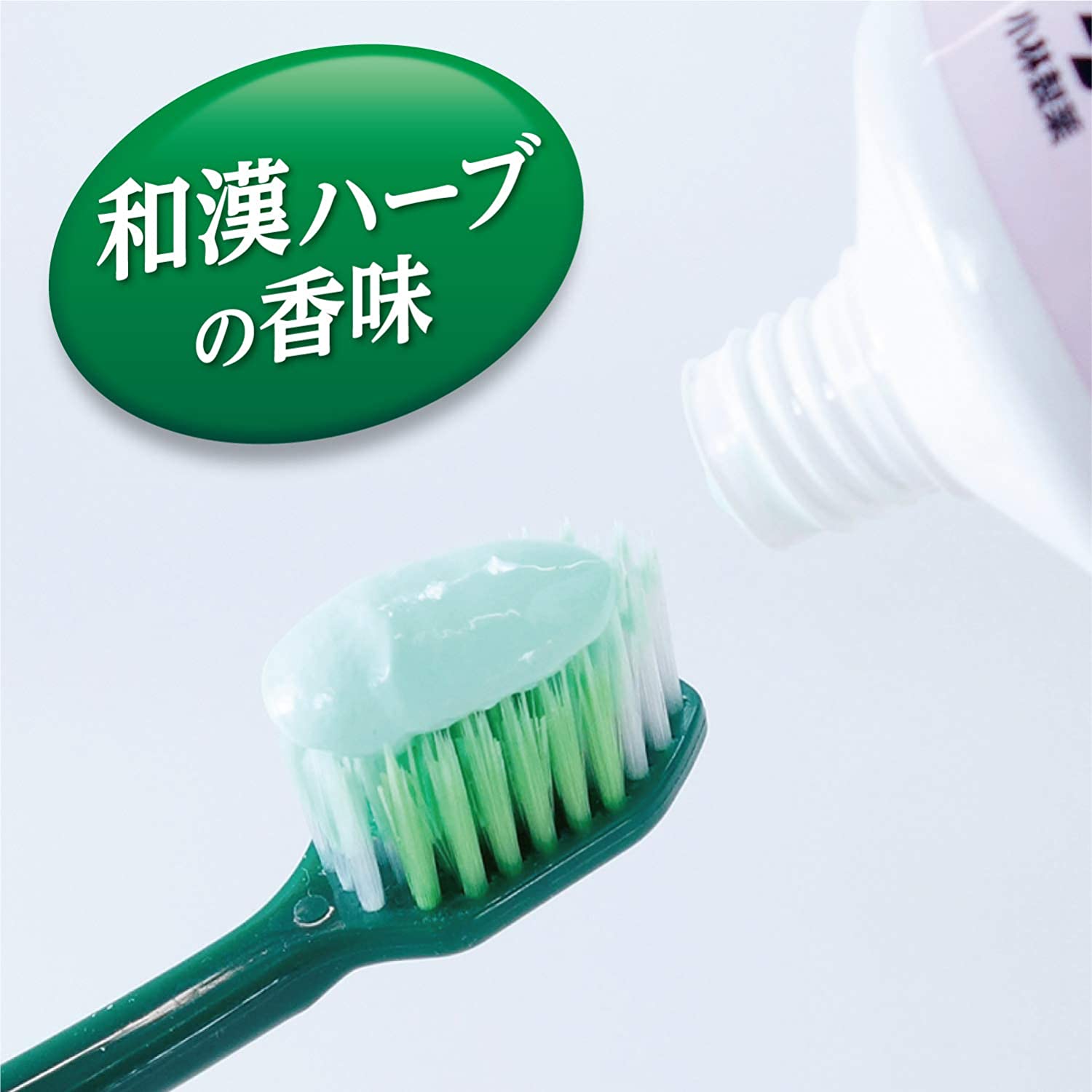 Kobayashi Shoyo Toothpaste 100g for Hypersensitive Dentin