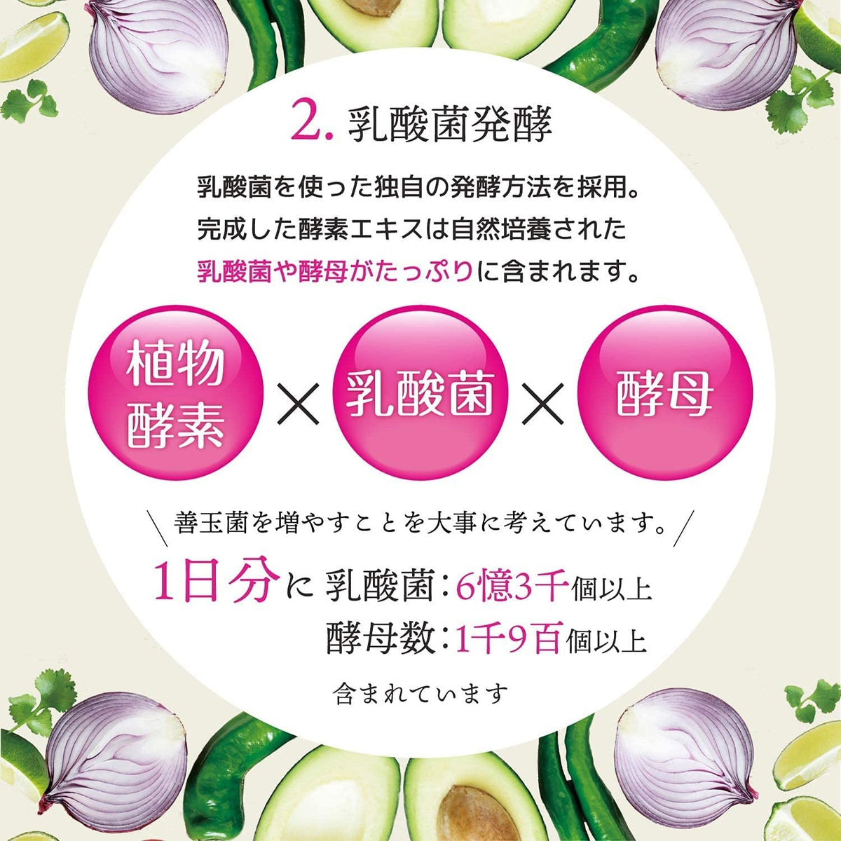 Ishokudogen iSDG 232 nighttime Diet enzyme Night diet Supplement 120 Tablets