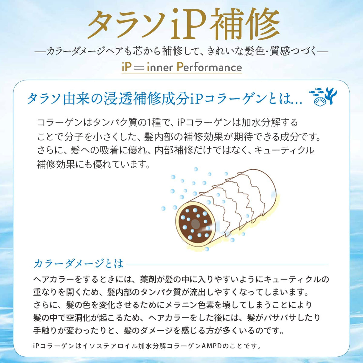 KOSE Jureme iP Thalasso Repair Repair Beauty Shampoo (Deep Moist) 480mL