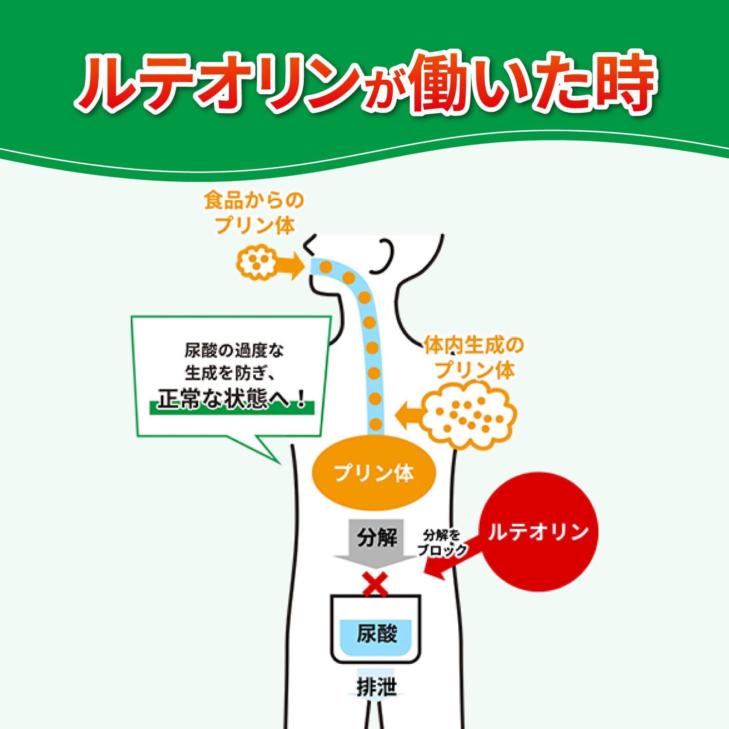 Kobayashi Lowers high uric acid levels Luteolin For those concerned about uric acid levels 60 grains 30 days