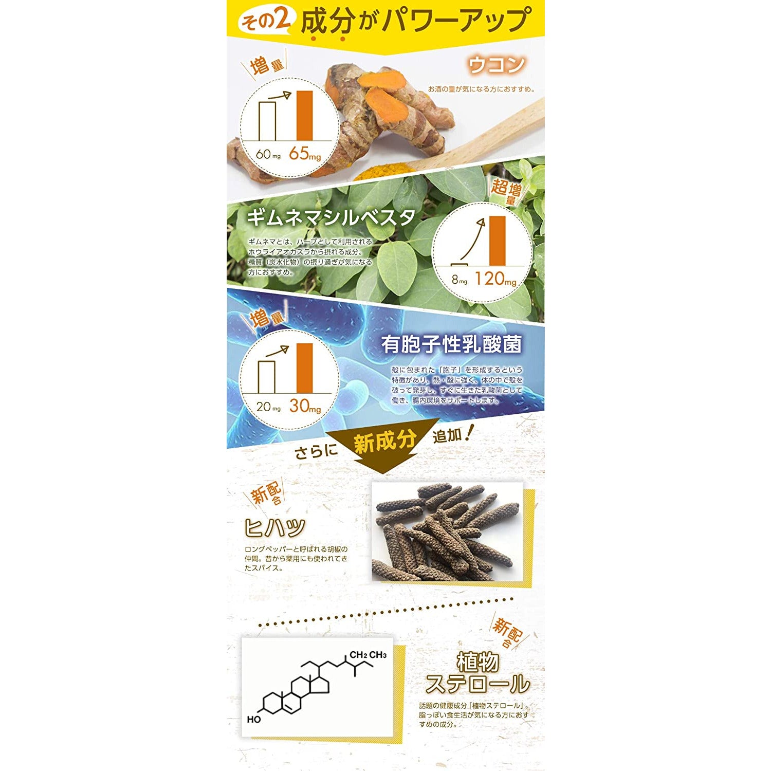 Shinya Koso Even late-night rice Diet GOLD+ 30 servings