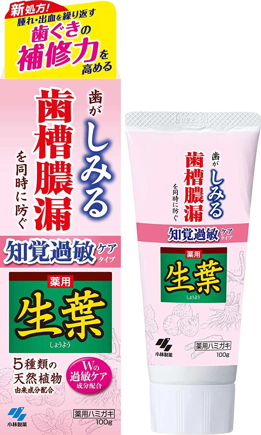 Kobayashi Shoyo Toothpaste 100g for Hypersensitive Dentin