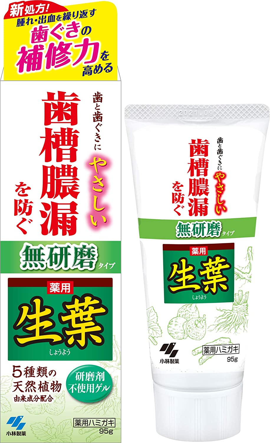 Kobayashi Shoyo Medicated toothpaste herb mint 95g