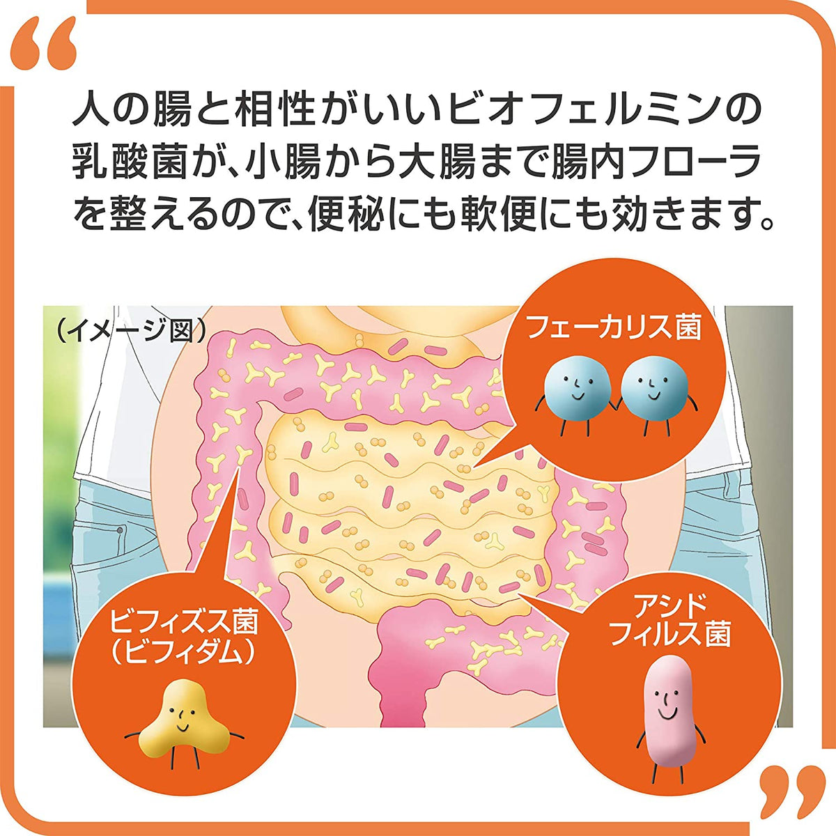 Taisho Pharmaceutical New Biofermin S 540 Tablets (Intestinal health care)