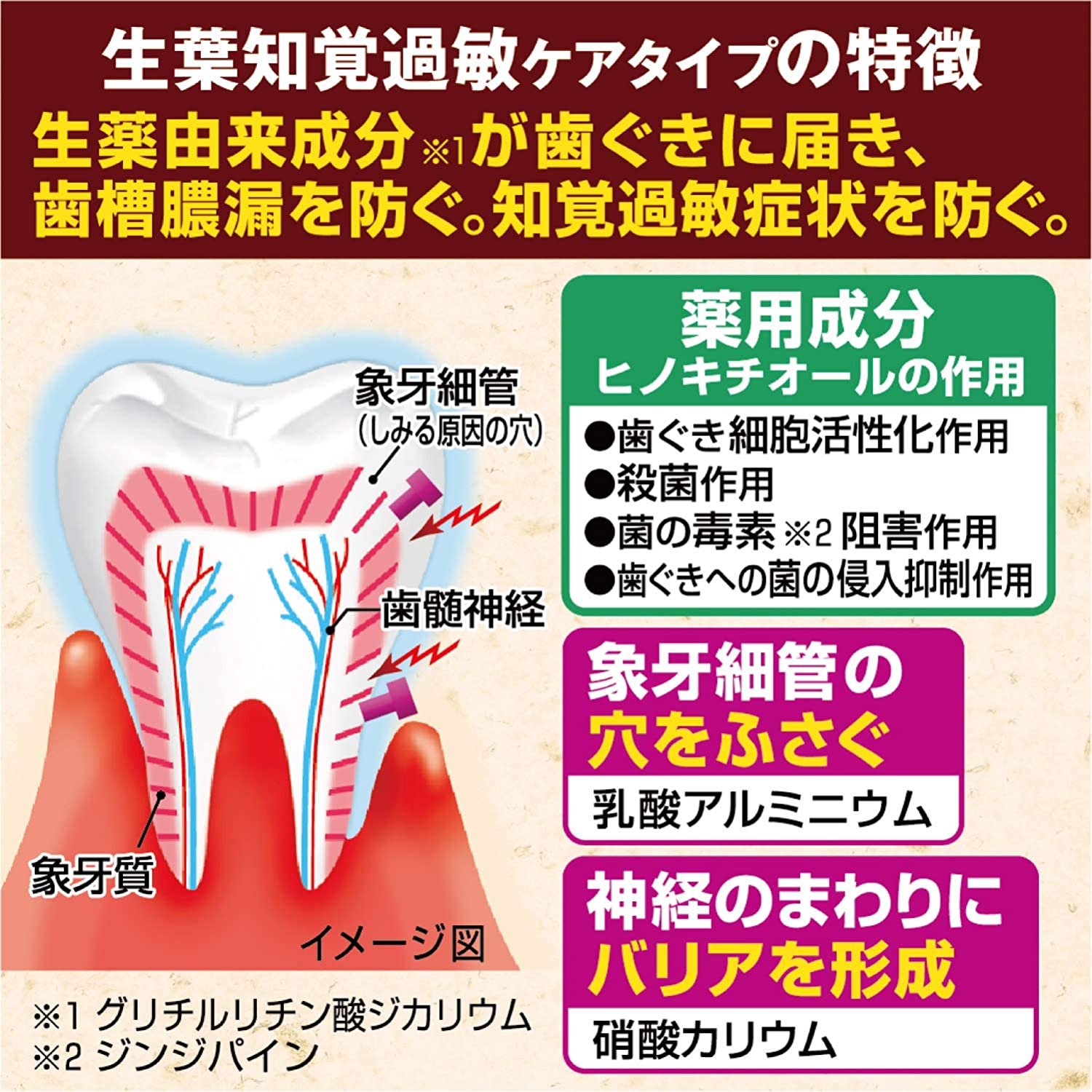 Kobayashi Shoyo Toothpaste 100g for Hypersensitive Dentin