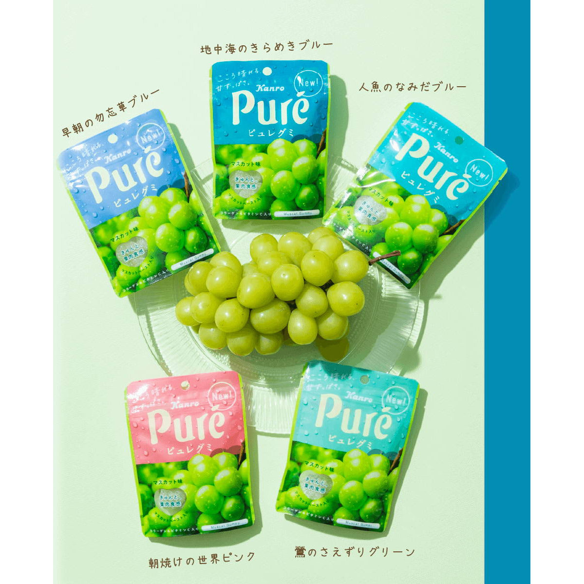 [5packs set] Kanro Pure Gummy Muscat 56g