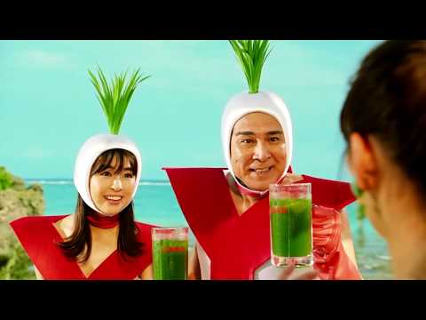 Yamamoto Kanpo Barley Young Leaf 100% 3g x 88 packets Green juice